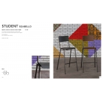 078.23  STUDENT SGABELLO